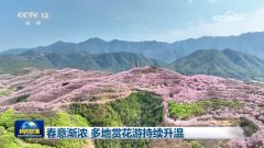 春意渐浓 多地赏花游持续升温